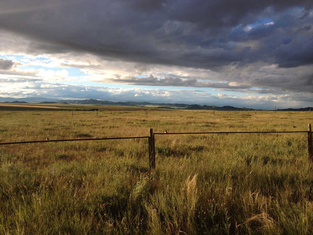 Mongolian steppe