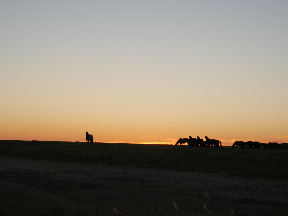 Sunset Inner Mongolia