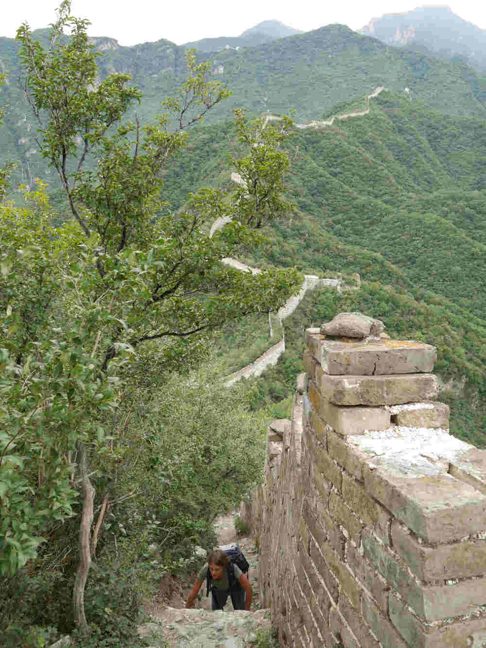 linda-climbing-wall-2