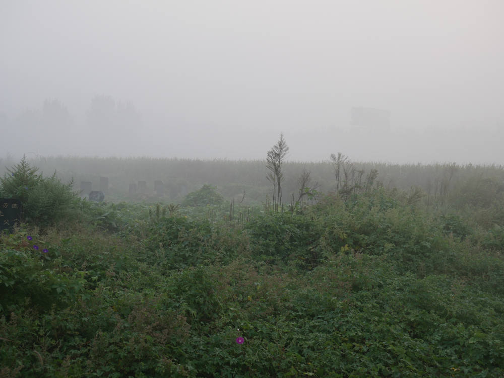 Graveyard on the way to Qingdao 