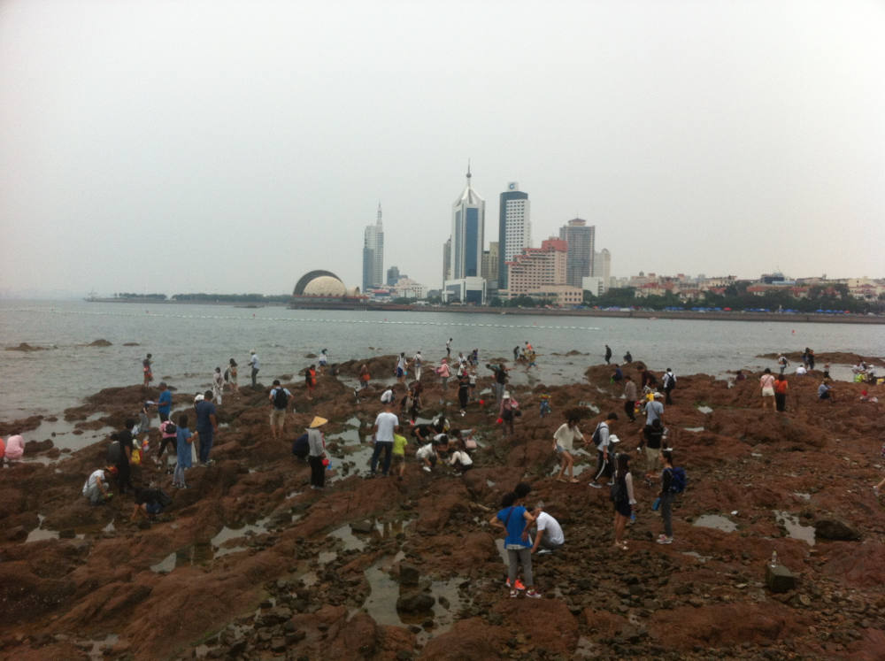 People collecting something from the stones in Qingdao